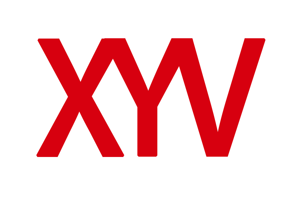 Xiaoyi Visual Technology